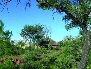 Abloom Bush Lodge & Spa Retreat Cullinan Esterno foto