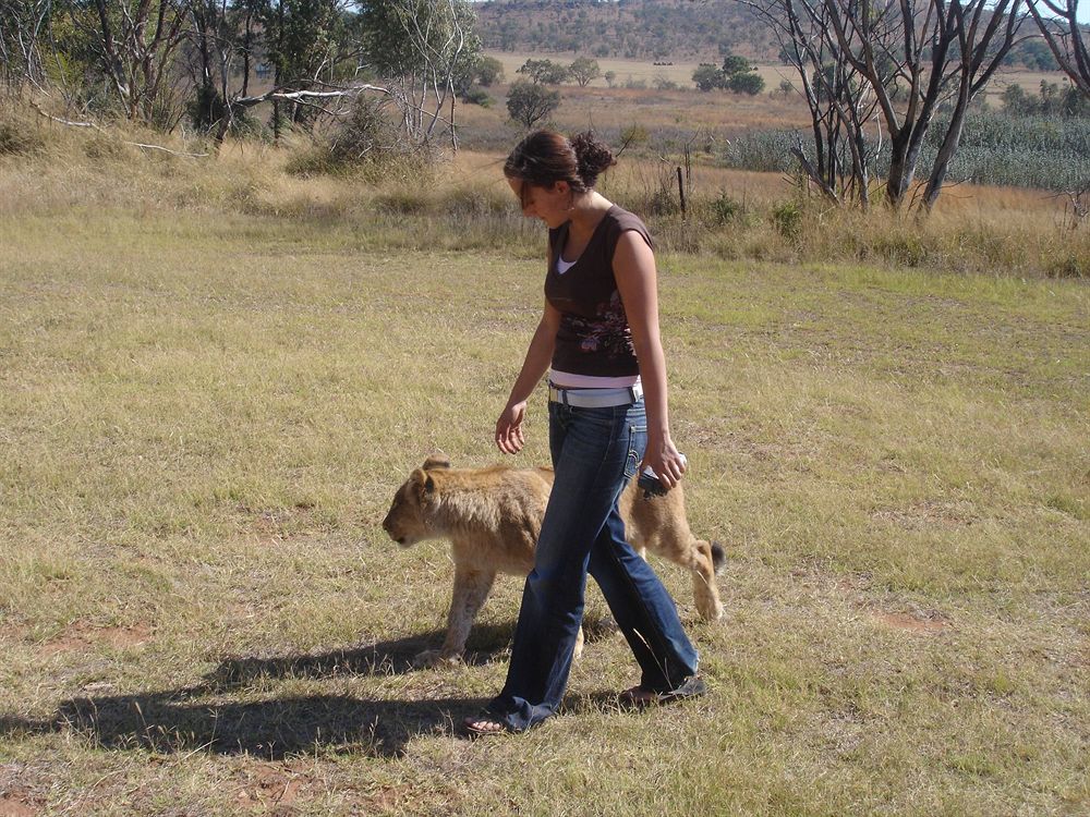 Abloom Bush Lodge & Spa Retreat Cullinan Esterno foto